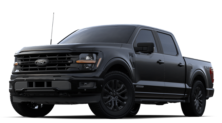 2024 Ford F-150 Vehicle Photo in Weatherford, TX 76087